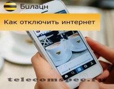 Способы отключения интернета оператора Билайн