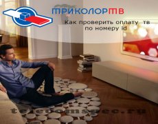 Как проверить оплату триколор тв по номеру id