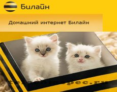 Как подключить домашний интернет Билайн