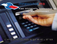 Оплата Триколора через терминал