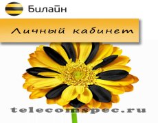 Личный кабинет Билайн: современная система самообслуживания абонентов