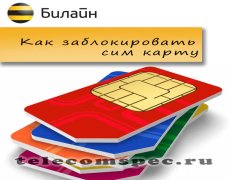 Как заблокировать сим карту Билайн