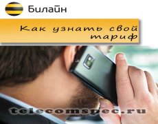 Как узнать тарифный план на Билайне