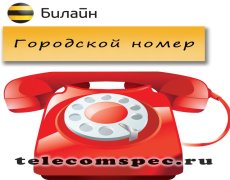 Городской номер