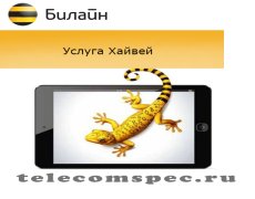 Услуга Хайвей от Билайн