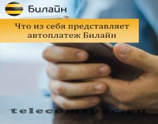 Что из себя представляет автоплатеж Билайн