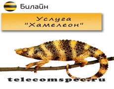 Подписка «Хамелеон» от Билайн