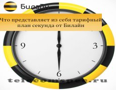 Что представляет из себя тарифный план секунда от Билайн