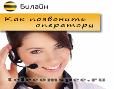 Как связаться с оператором Билайн