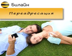 Как сделать переадресацию на Билайне