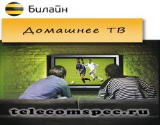 Домашнее ТВ Билайн