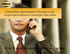 Способы проверки баланса на на корпоративном номере Билайн