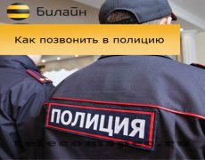 Вызываем стражей порядка с оператора Билайн