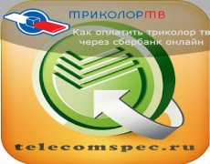 Как оплатить триколор тв через сбербанк онлайн