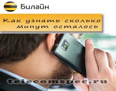 Как проверить сколько осталось минут на Билайне