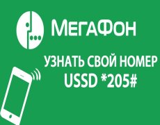 Как посмотреть свой номер на Мегафоне
