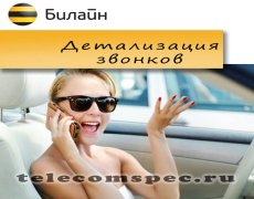 Как сделать детализация звонков на Билайн