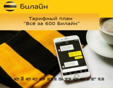 Способ подключения тарифного плана Билайн «Все за 600»