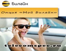Услуга «Мой Билайн»