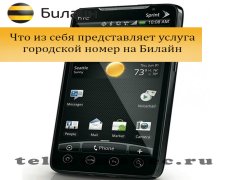 Что из себя представляет услуга городской номер на Билайн