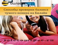 Способы проверки баланса чужого номера на Билайн