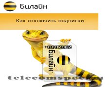 Особенности отключения подписок на Билайне