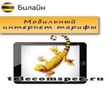 Тарифы мобильного интернета от Билайн
