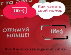 Способы проверки своего номера на операторе Лайф