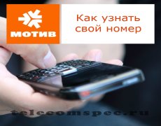 Способы проверки номера на операторе Мотив