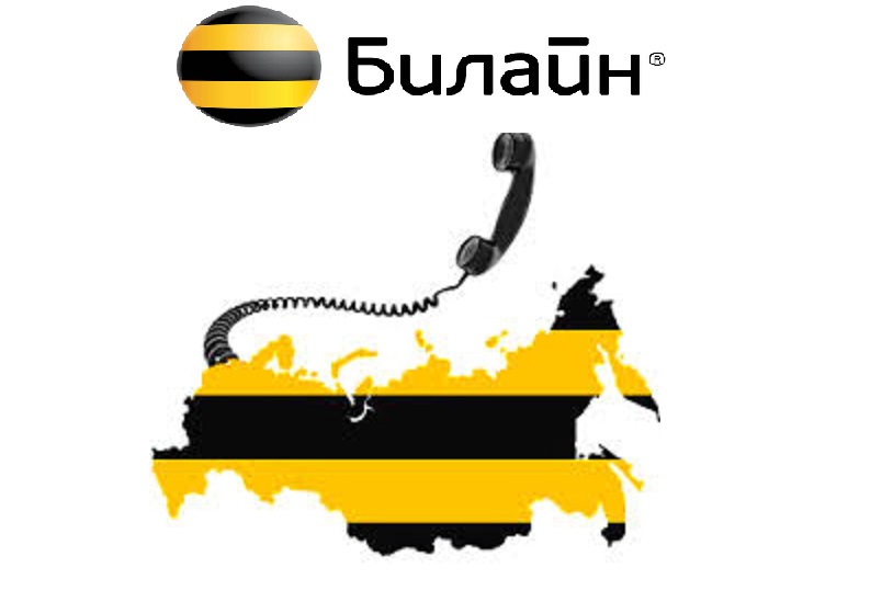 Beeline логотип. Билайн 13 256. Билайн. Билайн дружи сетями. Билайн логотип.